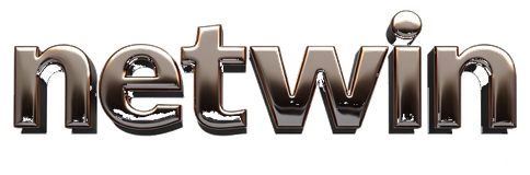 netwin logo